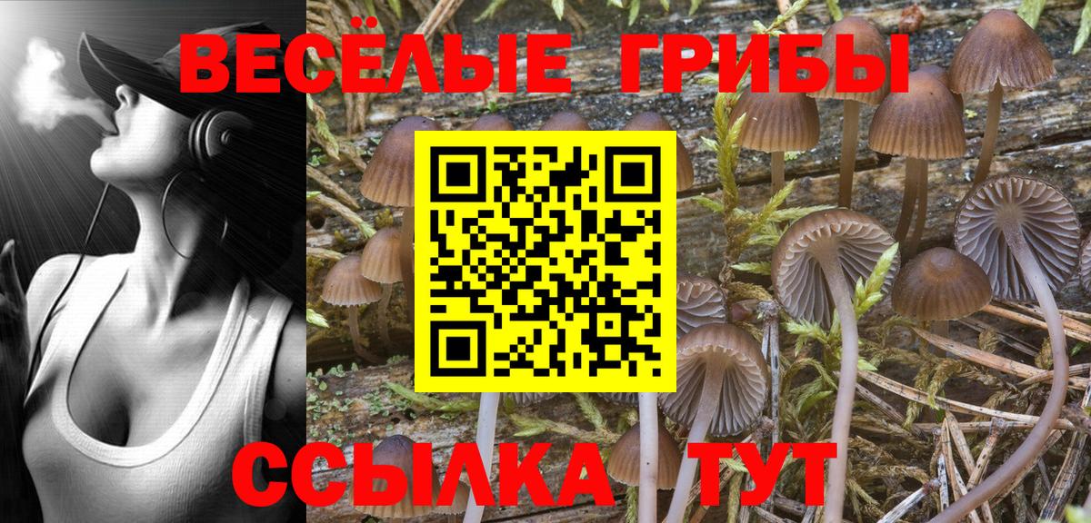 Галлюциногенные грибы GOLDEN TEACHER  Вход с VPN  Майкоп 