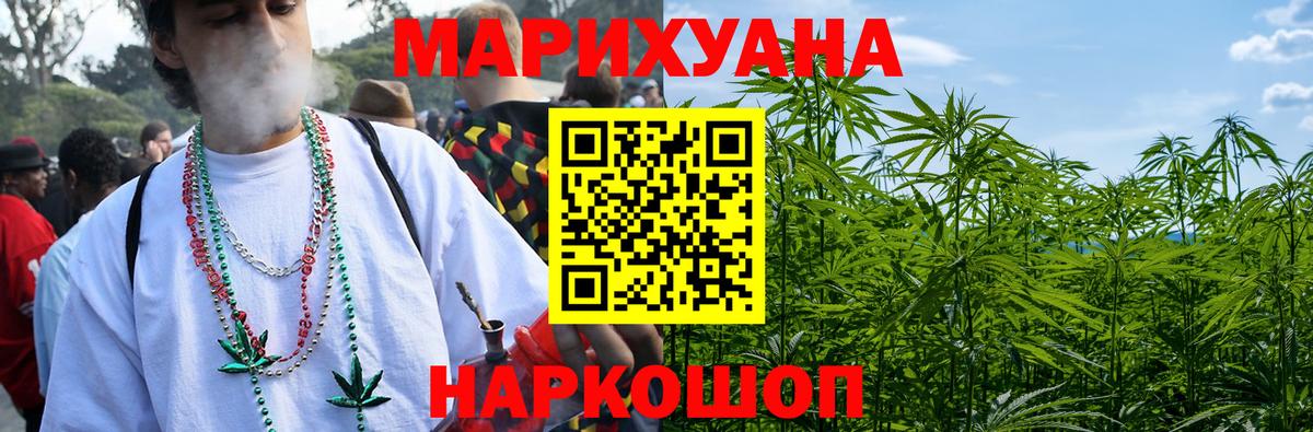Каннабис индика Майкоп
